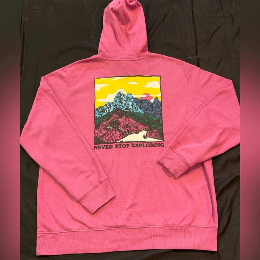 The North Face Never Stop Exploring Hoodie